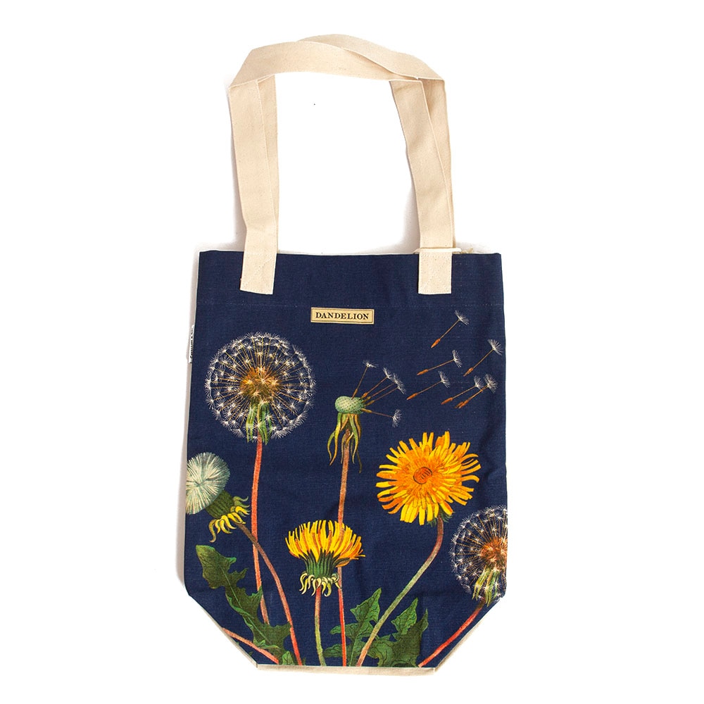 Cavallini, Pencil Pouch, Art & School, Dandelion, 376264